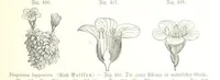 An illustration from Unser Wissen von der Erde. Allgemeine Erdkunde und Länderkunde, herausgegeben unter fachmännischer Mitwirkung von A. Kirchhoff (1886)