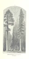 An illustration from Unser Wissen von der Erde. Allgemeine Erdkunde und Länderkunde, herausgegeben unter fachmännischer Mitwirkung von A. Kirchhoff (1886)
