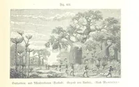 An illustration from Unser Wissen von der Erde. Allgemeine Erdkunde und Länderkunde, herausgegeben unter fachmännischer Mitwirkung von A. Kirchhoff (1886)