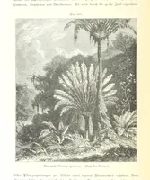An illustration from Unser Wissen von der Erde. Allgemeine Erdkunde und Länderkunde, herausgegeben unter fachmännischer Mitwirkung von A. Kirchhoff (1886)