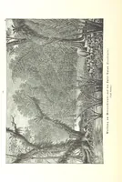 An illustration from Unser Wissen von der Erde. Allgemeine Erdkunde und Länderkunde, herausgegeben unter fachmännischer Mitwirkung von A. Kirchhoff (1886)