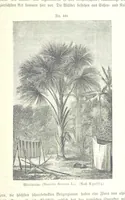An illustration from Unser Wissen von der Erde. Allgemeine Erdkunde und Länderkunde, herausgegeben unter fachmännischer Mitwirkung von A. Kirchhoff (1886)