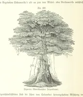 An illustration from Unser Wissen von der Erde. Allgemeine Erdkunde und Länderkunde, herausgegeben unter fachmännischer Mitwirkung von A. Kirchhoff (1886)