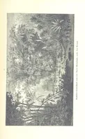An illustration from Unser Wissen von der Erde. Allgemeine Erdkunde und Länderkunde, herausgegeben unter fachmännischer Mitwirkung von A. Kirchhoff (1886)