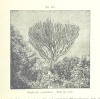 An illustration from Unser Wissen von der Erde. Allgemeine Erdkunde und Länderkunde, herausgegeben unter fachmännischer Mitwirkung von A. Kirchhoff (1886)