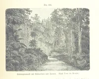 An illustration from Unser Wissen von der Erde. Allgemeine Erdkunde und Länderkunde, herausgegeben unter fachmännischer Mitwirkung von A. Kirchhoff (1886)