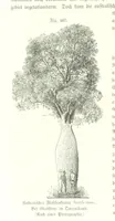 An illustration from Unser Wissen von der Erde. Allgemeine Erdkunde und Länderkunde, herausgegeben unter fachmännischer Mitwirkung von A. Kirchhoff (1886)