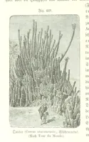 Picture 391 of 497 from Unser Wissen von der Erde. Allgemeine Erdkunde und Länderkunde, herausgegeben unter fachmännischer Mitwirkung von A. Kirchhoff (1886), leaf 1046