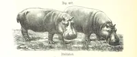 An illustration from Unser Wissen von der Erde. Allgemeine Erdkunde und Länderkunde, herausgegeben unter fachmännischer Mitwirkung von A. Kirchhoff (1886)