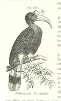 An illustration from Unser Wissen von der Erde. Allgemeine Erdkunde und Länderkunde, herausgegeben unter fachmännischer Mitwirkung von A. Kirchhoff (1886)