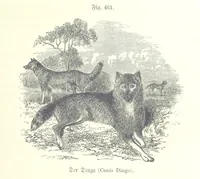 An illustration from Unser Wissen von der Erde. Allgemeine Erdkunde und Länderkunde, herausgegeben unter fachmännischer Mitwirkung von A. Kirchhoff (1886)