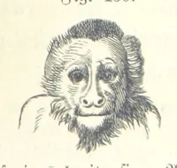 An illustration from Unser Wissen von der Erde. Allgemeine Erdkunde und Länderkunde, herausgegeben unter fachmännischer Mitwirkung von A. Kirchhoff (1886)