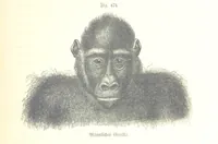 An illustration from Unser Wissen von der Erde. Allgemeine Erdkunde und Länderkunde, herausgegeben unter fachmännischer Mitwirkung von A. Kirchhoff (1886)