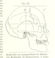 An illustration from Unser Wissen von der Erde. Allgemeine Erdkunde und Länderkunde, herausgegeben unter fachmännischer Mitwirkung von A. Kirchhoff (1886)