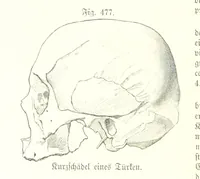 An illustration from Unser Wissen von der Erde. Allgemeine Erdkunde und Länderkunde, herausgegeben unter fachmännischer Mitwirkung von A. Kirchhoff (1886)