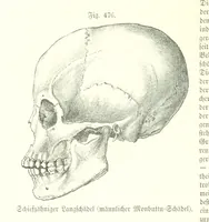 An illustration from Unser Wissen von der Erde. Allgemeine Erdkunde und Länderkunde, herausgegeben unter fachmännischer Mitwirkung von A. Kirchhoff (1886)