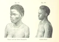 An illustration from Unser Wissen von der Erde. Allgemeine Erdkunde und Länderkunde, herausgegeben unter fachmännischer Mitwirkung von A. Kirchhoff (1886)