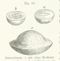 An illustration from Unser Wissen von der Erde. Allgemeine Erdkunde und Länderkunde, herausgegeben unter fachmännischer Mitwirkung von A. Kirchhoff (1886)