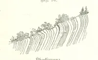 An illustration from Unser Wissen von der Erde. Allgemeine Erdkunde und Länderkunde, herausgegeben unter fachmännischer Mitwirkung von A. Kirchhoff (1886)