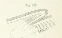 An illustration from Unser Wissen von der Erde. Allgemeine Erdkunde und Länderkunde, herausgegeben unter fachmännischer Mitwirkung von A. Kirchhoff (1886)