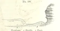 Picture 176 of 497 from Unser Wissen von der Erde. Allgemeine Erdkunde und Länderkunde, herausgegeben unter fachmännischer Mitwirkung von A. Kirchhoff (1886), leaf 577