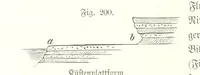 An illustration from Unser Wissen von der Erde. Allgemeine Erdkunde und Länderkunde, herausgegeben unter fachmännischer Mitwirkung von A. Kirchhoff (1886)