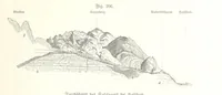 An illustration from Unser Wissen von der Erde. Allgemeine Erdkunde und Länderkunde, herausgegeben unter fachmännischer Mitwirkung von A. Kirchhoff (1886)