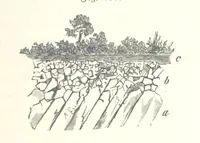 An illustration from Unser Wissen von der Erde. Allgemeine Erdkunde und Länderkunde, herausgegeben unter fachmännischer Mitwirkung von A. Kirchhoff (1886)