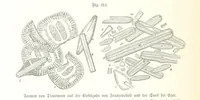 Picture 188 of 497 from Unser Wissen von der Erde. Allgemeine Erdkunde und Länderkunde, herausgegeben unter fachmännischer Mitwirkung von A. Kirchhoff (1886), leaf 598