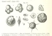 An illustration from Unser Wissen von der Erde. Allgemeine Erdkunde und Länderkunde, herausgegeben unter fachmännischer Mitwirkung von A. Kirchhoff (1886)