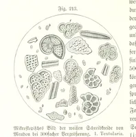 An illustration from Unser Wissen von der Erde. Allgemeine Erdkunde und Länderkunde, herausgegeben unter fachmännischer Mitwirkung von A. Kirchhoff (1886)