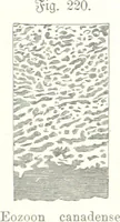 Picture 195 of 497 from Unser Wissen von der Erde. Allgemeine Erdkunde und Länderkunde, herausgegeben unter fachmännischer Mitwirkung von A. Kirchhoff (1886), leaf 621