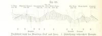 An illustration from Unser Wissen von der Erde. Allgemeine Erdkunde und Länderkunde, herausgegeben unter fachmännischer Mitwirkung von A. Kirchhoff (1886)