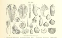 An illustration from Unser Wissen von der Erde. Allgemeine Erdkunde und Länderkunde, herausgegeben unter fachmännischer Mitwirkung von A. Kirchhoff (1886)