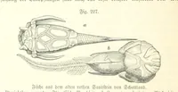 An illustration from Unser Wissen von der Erde. Allgemeine Erdkunde und Länderkunde, herausgegeben unter fachmännischer Mitwirkung von A. Kirchhoff (1886)