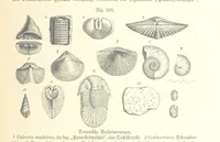 An illustration from Unser Wissen von der Erde. Allgemeine Erdkunde und Länderkunde, herausgegeben unter fachmännischer Mitwirkung von A. Kirchhoff (1886)