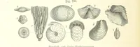 An illustration from Unser Wissen von der Erde. Allgemeine Erdkunde und Länderkunde, herausgegeben unter fachmännischer Mitwirkung von A. Kirchhoff (1886)