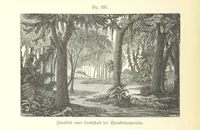 An illustration from Unser Wissen von der Erde. Allgemeine Erdkunde und Länderkunde, herausgegeben unter fachmännischer Mitwirkung von A. Kirchhoff (1886)