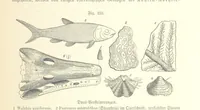 An illustration from Unser Wissen von der Erde. Allgemeine Erdkunde und Länderkunde, herausgegeben unter fachmännischer Mitwirkung von A. Kirchhoff (1886)