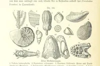 An illustration from Unser Wissen von der Erde. Allgemeine Erdkunde und Länderkunde, herausgegeben unter fachmännischer Mitwirkung von A. Kirchhoff (1886)