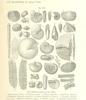 An illustration from Unser Wissen von der Erde. Allgemeine Erdkunde und Länderkunde, herausgegeben unter fachmännischer Mitwirkung von A. Kirchhoff (1886)