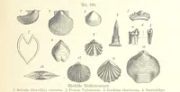 An illustration from Unser Wissen von der Erde. Allgemeine Erdkunde und Länderkunde, herausgegeben unter fachmännischer Mitwirkung von A. Kirchhoff (1886)