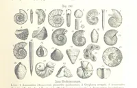 An illustration from Unser Wissen von der Erde. Allgemeine Erdkunde und Länderkunde, herausgegeben unter fachmännischer Mitwirkung von A. Kirchhoff (1886)