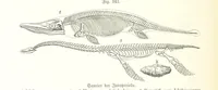 An illustration from Unser Wissen von der Erde. Allgemeine Erdkunde und Länderkunde, herausgegeben unter fachmännischer Mitwirkung von A. Kirchhoff (1886)