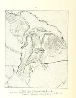 An illustration from Unser Wissen von der Erde. Allgemeine Erdkunde und Länderkunde, herausgegeben unter fachmännischer Mitwirkung von A. Kirchhoff (1886)