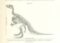 An illustration from Unser Wissen von der Erde. Allgemeine Erdkunde und Länderkunde, herausgegeben unter fachmännischer Mitwirkung von A. Kirchhoff (1886)