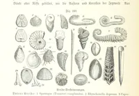 An illustration from Unser Wissen von der Erde. Allgemeine Erdkunde und Länderkunde, herausgegeben unter fachmännischer Mitwirkung von A. Kirchhoff (1886)
