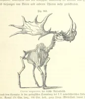 An illustration from Unser Wissen von der Erde. Allgemeine Erdkunde und Länderkunde, herausgegeben unter fachmännischer Mitwirkung von A. Kirchhoff (1886)