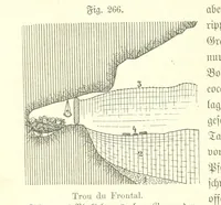 Picture 231 of 497 from Unser Wissen von der Erde. Allgemeine Erdkunde und Länderkunde, herausgegeben unter fachmännischer Mitwirkung von A. Kirchhoff (1886), leaf 730