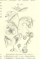 An illustration from Unser Wissen von der Erde. Allgemeine Erdkunde und Länderkunde, herausgegeben unter fachmännischer Mitwirkung von A. Kirchhoff (1886)